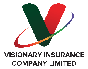 Visionary Insurance